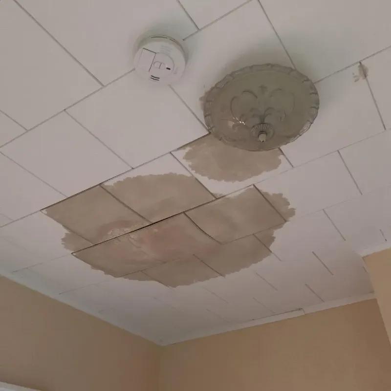Ceiling Water Damage Repair in Council Grove, KS