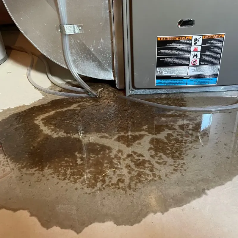 Pipe Burst and Leak Restoration in Council Grove, KS