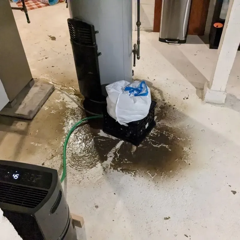 Sewage Backup Cleanup Service in Council Grove, KS
